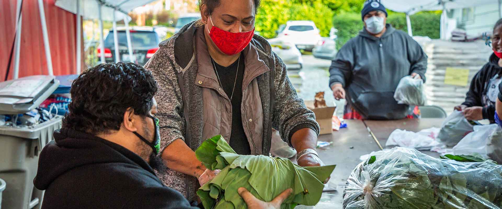 [Response & Recovery] People organizing a food drive with one person handing another person a large head of greens.